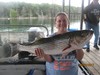 (08/26/2017) - Nice Striped Bass